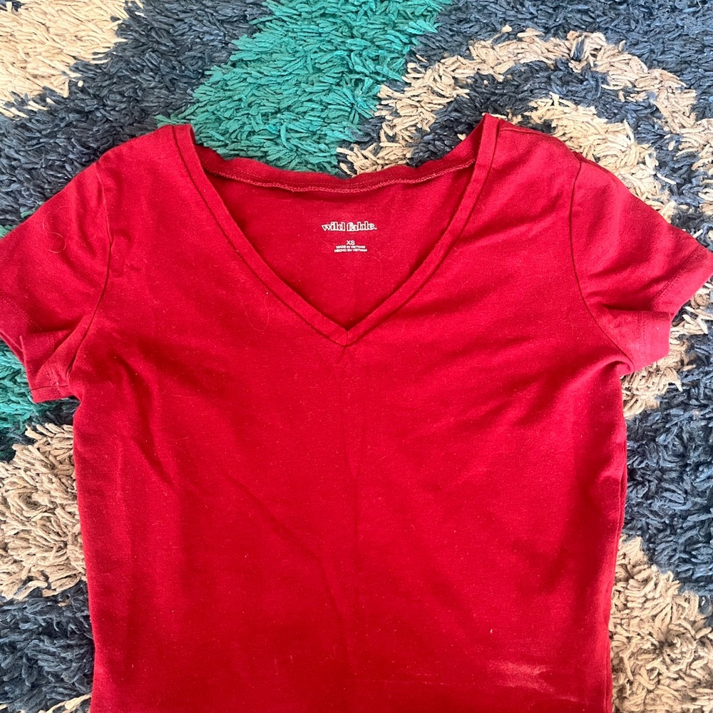 Wild Fable Scarlet V-Neck Tee